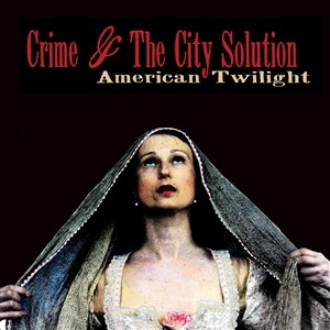 Crime & The City Solution